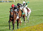 Point of Entry Claims Elkhorn on Closing Day