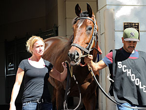 Point of Entry Works Toward 2013 Debut Point of Entry Works Toward 2013 Debut