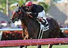 Featured Horse Profile: Point of Entry Featured Horse Profile: Point of Entry