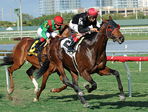 Point of Entry Takes Down Animal Kingdom Point of Entry Takes Down Animal Kingdom