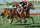 Point of Entry Takes Down Animal Kingdom