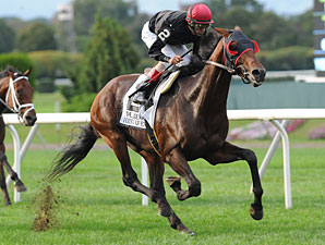 Breeders' Cup Still Thrills McGaughey Breeders' Cup Still Thrills McGaughey