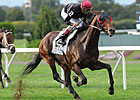 Joe Hirsch: Point of Entry Solidifies Status