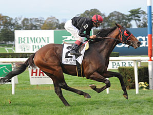 McGaughey Says Point of Entry in HOY Picture McGaughey Says Point of Entry in HOY Picture