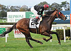 McGaughey Says Point of Entry in HOY Picture