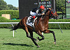 Point of Entry Sails in Sword Dancer Point of Entry Sails in Sword Dancer