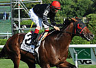 Joe Hirsch: Point of Entry Meets Little Mike