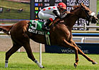 Points of Grace Has Tactical Edge in Canadian Points of Grace Has Tactical Edge in Canadian