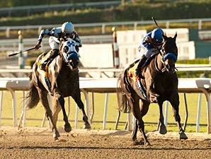 Points Offthebench Nails Santa Anita Sprint Points Offthebench Nails Santa Anita Sprint