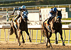 Points Offthebench Nails Santa Anita Sprint Points Offthebench Nails Santa Anita Sprint