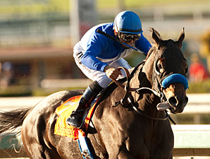 Dam of Points Offthebench Added to F-T Sale Dam of Points Offthebench Added to F-T Sale