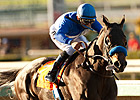 Dam of Points Offthebench Added to F-T Sale Dam of Points Offthebench Added to F-T Sale