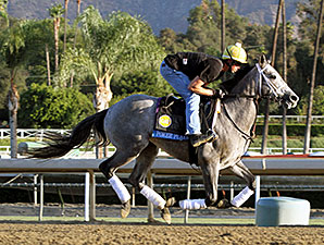 Poker Player Could Be a Big Deal in Juv. Turf Poker Player Could Be a Big Deal in Juv. Turf