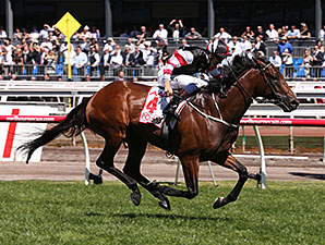 Polanski Gives Jockey Third Victoria Derby Polanski Gives Jockey Third Victoria Derby