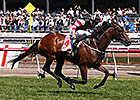 Polanski Gives Jockey Third Victoria Derby Polanski Gives Jockey Third Victoria Derby