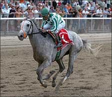 Political Force to Stand at Claiborne Political Force to Stand at Claiborne