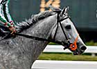 Political Force Arrives at Claiborne Farm