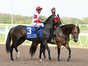 Oklahoma Derby Tops Remington Park Season Oklahoma Derby Tops Remington Park Season