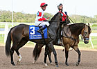 Well Matched Field of 12 for Longacres Mile Well Matched Field of 12 for Longacres Mile