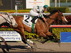 Pomeroys Pistol Fires for Young Sire Pomeroys Pistol Fires for Young Sire