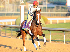 Tarrant With Loaded 'Pistol' in Breeders' Cup Tarrant With Loaded 'Pistol' in Breeders' Cup