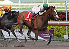 Sugar Swirl: Classy Pomeroys Pistol Too Good