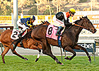 Pontchatrain Packs Punch in Monrovia Tally Pontchatrain Packs Punch in Monrovia Tally