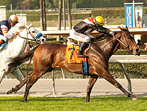 Pontchatrain Adds to Win Skein in Buena Vista Pontchatrain Adds to Win Skein in Buena Vista