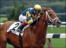 Pool Land Powers Past Take D' Tour in Ruffian Pool Land Powers Past Take D' Tour in Ruffian