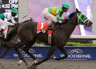 John Connally Turf 'Cap a 14-Horse Puzzler John Connally Turf 'Cap a 14-Horse Puzzler