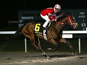 2011 Spiral Proving Popular With Trainers 2011 Spiral Proving Popular With Trainers