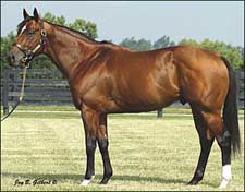 Heiligbrodts Sell Interest in Leading Sire Posse Heiligbrodts Sell Interest in Leading Sire Posse