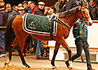 Sister to Midday Tops Tattersalls Session Sister to Midday Tops Tattersalls Session
