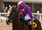 Injured Filly Potesta Walking Well