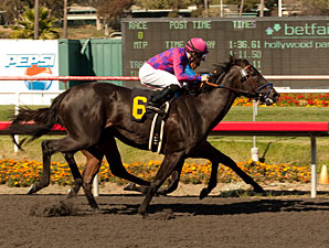 Potesta Proves Best in Hollywood Oaks Potesta Proves Best in Hollywood Oaks