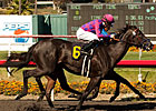 Potesta Proves Best in Hollywood Oaks Potesta Proves Best in Hollywood Oaks