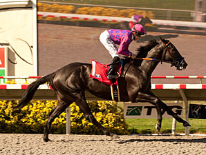 Potesta to be Offered in January Sale