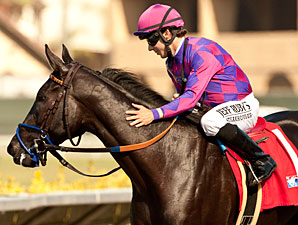 Potesta Recovering Well, Set for January Sale