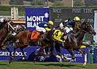 Gutsy Drive Gives Pounced the Juvenile Turf Gutsy Drive Gives Pounced the Juvenile Turf