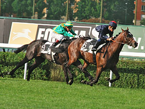 Epsom Derby Winner Pour Moi Retired Epsom Derby Winner Pour Moi Retired