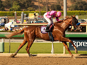 Power Broker Looks to Move Ahead in Easy Goer Power Broker Looks to Move Ahead in Easy Goer