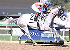 Debut Winner Power Jam Impresses for Baffert Debut Winner Power Jam Impresses for Baffert