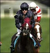 Powerscourt Injured, Will Miss Irish Champion Powerscourt Injured, Will Miss Irish Champion
