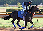 Prayer for Relief Out of Classic Due to Fever