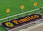 Rachel Alexandra the 2-1 Preakness Favorite