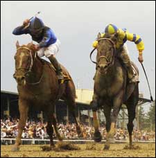 Borel, Albarado To Battle Other Riders In Cajun Jockey Challenge Borel, Albarado To Battle Other Riders In Cajun Jockey Challenge