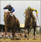 Borel, Albarado To Battle Other Riders In Cajun Jockey Challenge