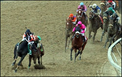Steve Haskin's Preakness Story: Bump and Run Steve Haskin's Preakness Story: Bump and Run