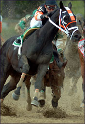 Scrappy T Won't Run in the Belmont Scrappy T Won't Run in the Belmont