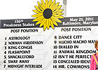 Animal Kingdom Draws Post 11 for Preakness